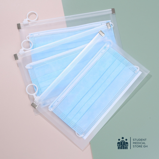 Face Mask Storage Case