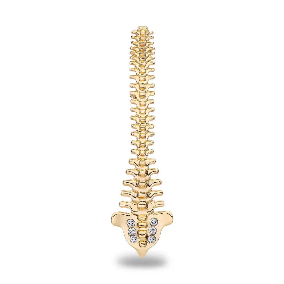 Brooch Pins
